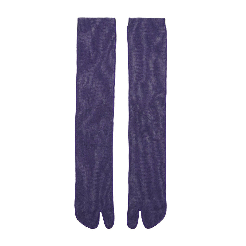 TB21P-001-PURPLE-