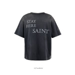 SW SS TEE ANAKIN